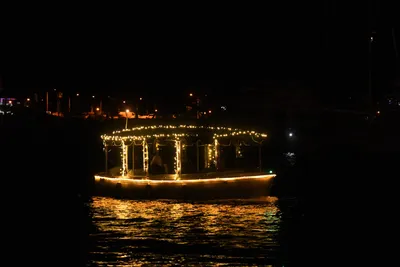 DSC_2523 (Large).JPG